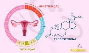 Progesterona fertilidade e ciclo menstrual Clínica Origen