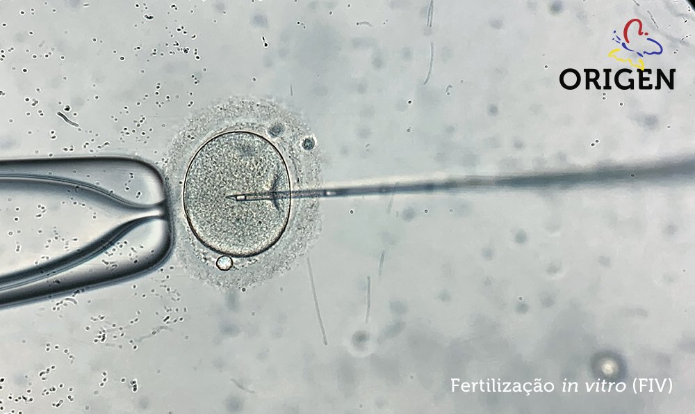 Cultivo Embrion Rio Como Feito Cl Nica Origen Fertiliza O In Vitro