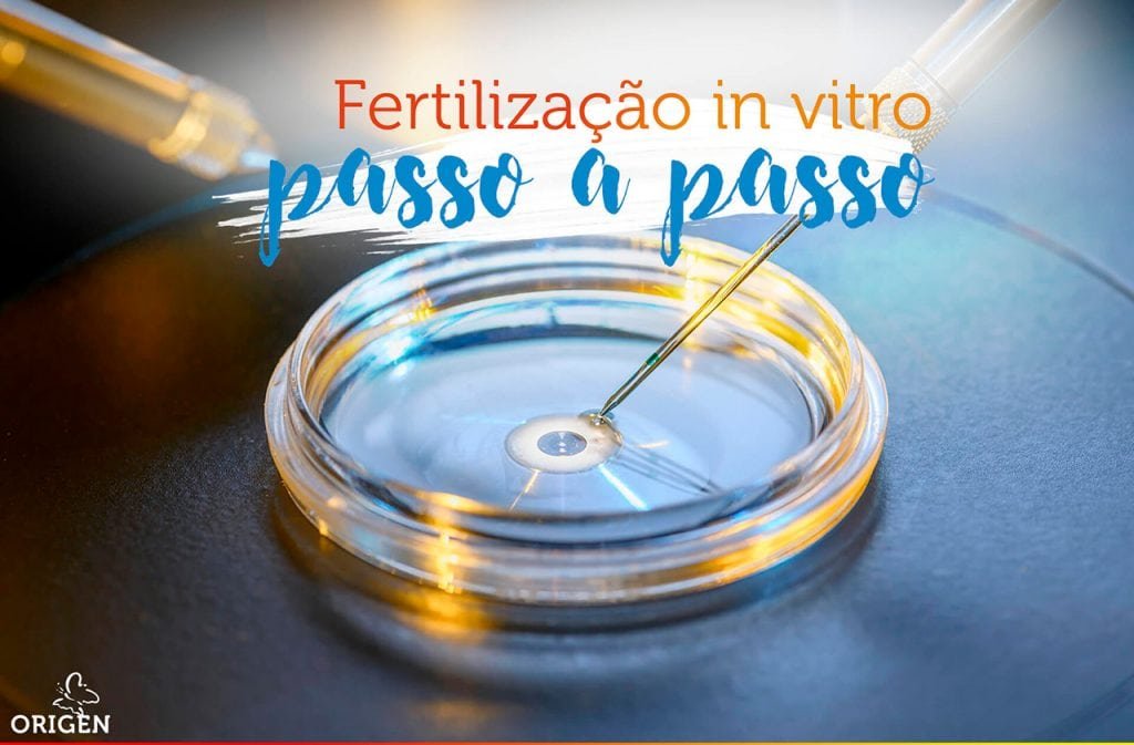 fertilizacao-in-vitro-passo-a-passo