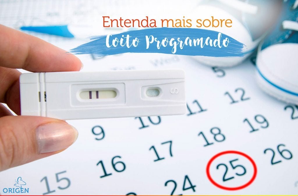coito-programado-entenda-mais-sobre-esse-tratamento-de-infertilidade