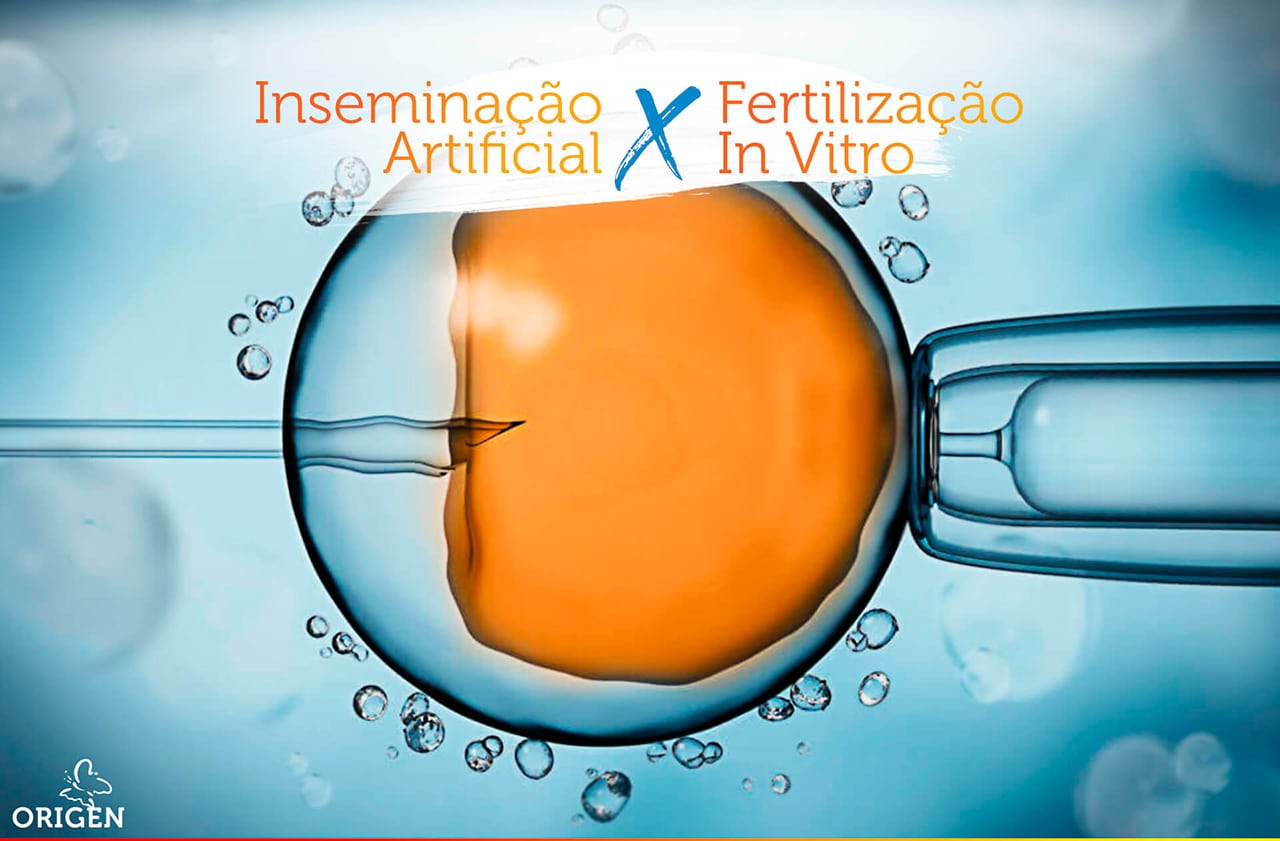 Inseminação Artificial e FIV (Fertilização in Vitro): entenda as diferenças!
