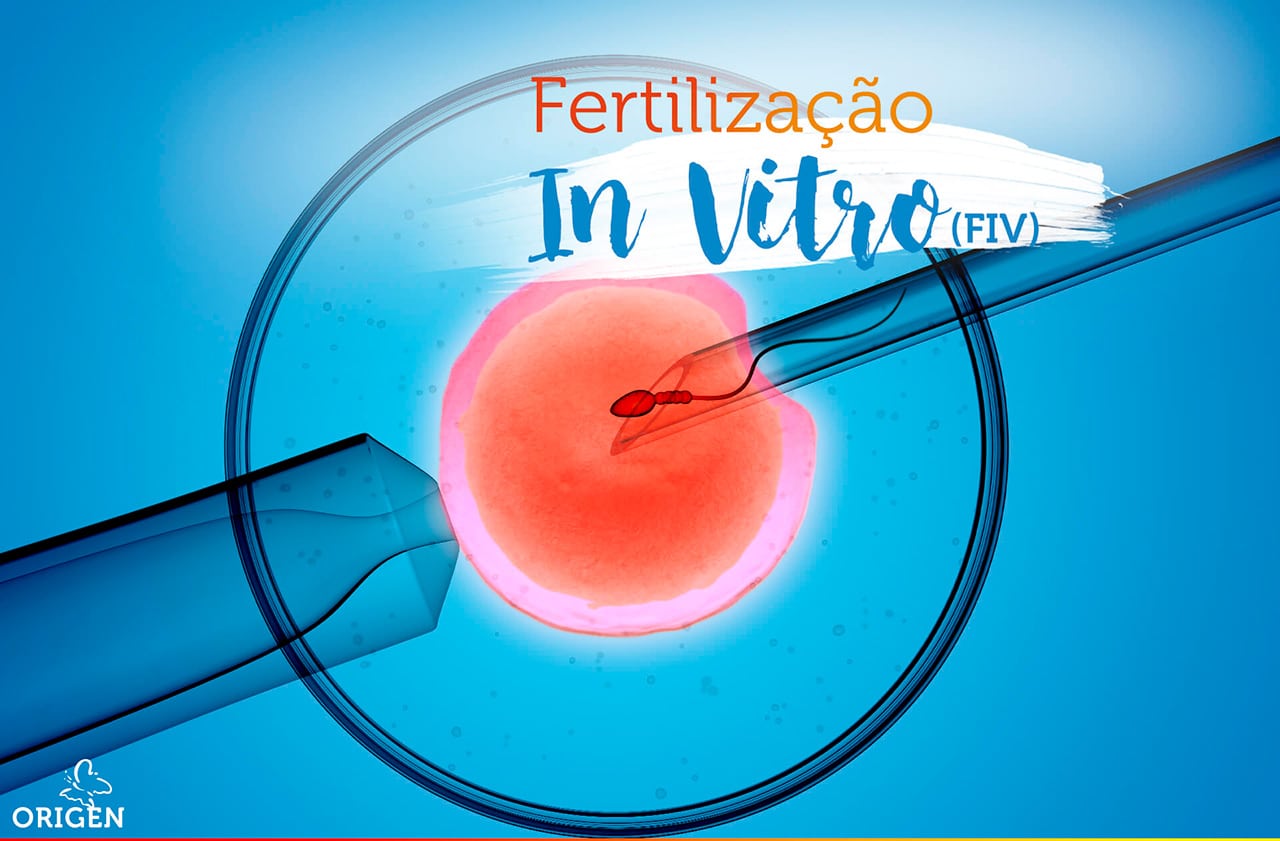 Passo a passo: veja como a FIV (Fertilização in Vitro) é feita