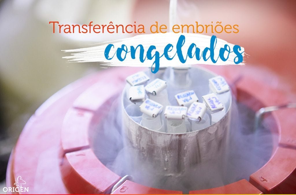 quais-as-taxas-de-sucesso-da-transferencia-de-embrioes-congelados