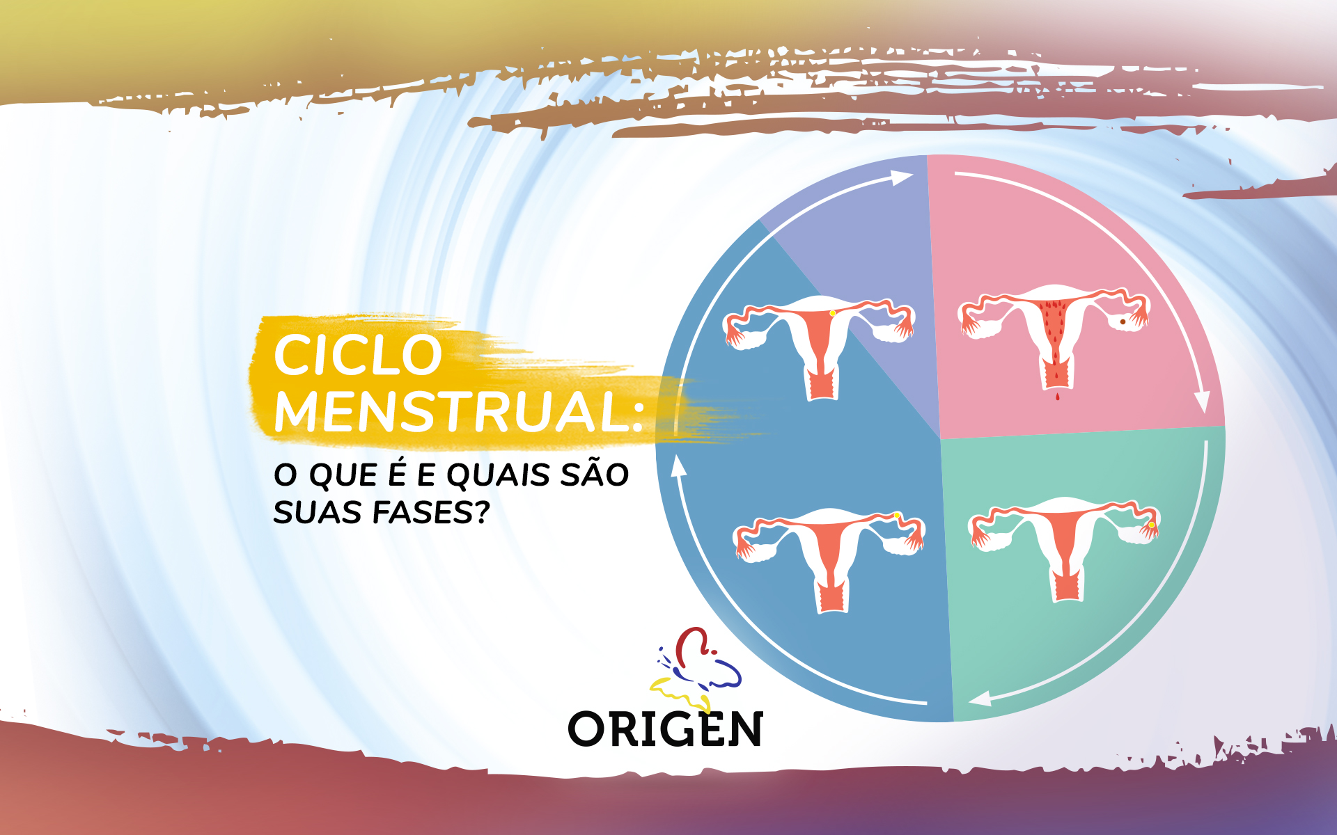 Ciclo menstrual: o que é e quais são suas fases?
