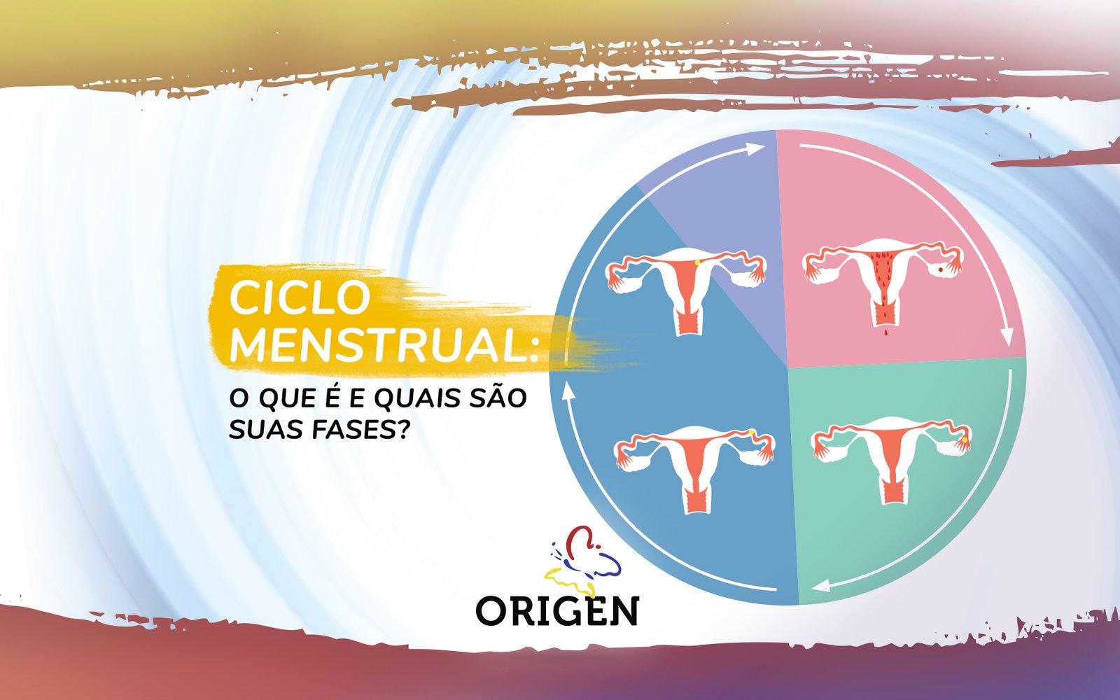 Ciclo menstrual e suas fases - Toda Matéria