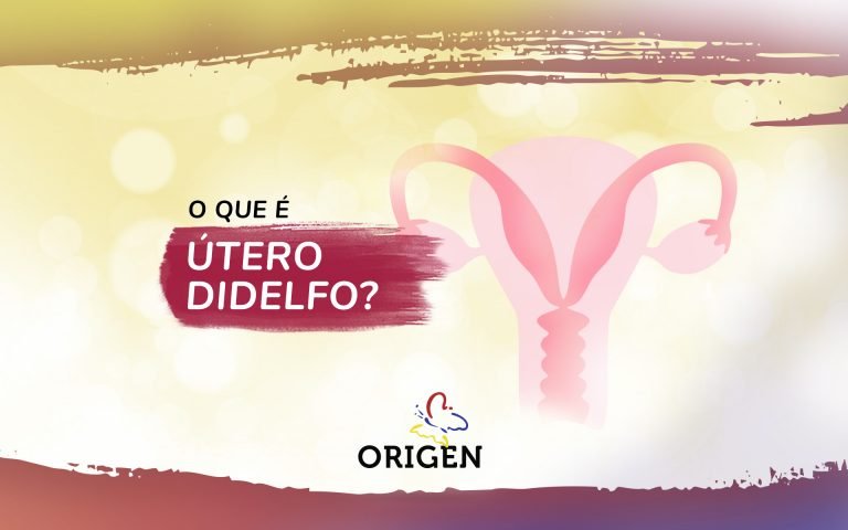 O Que é útero Didelfo Clínica Origen Fertilização In Vitro