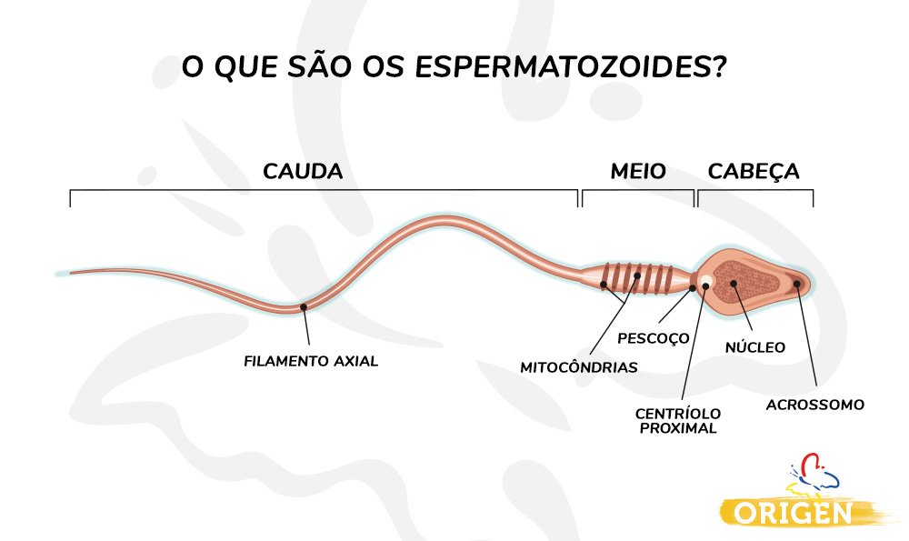 Clinica Fecunda - Reprodução Humana