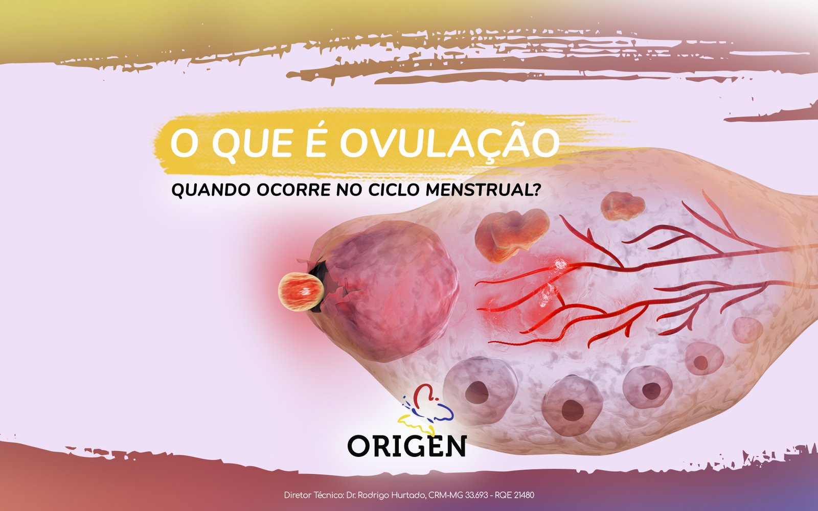 Como identificar um ciclo menstrual irregular e o que fazer para  engravidar? » Dr João Dias