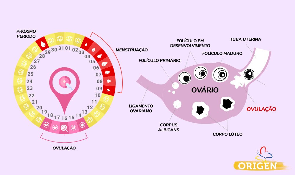 Entenda as causas da menstruação irregular