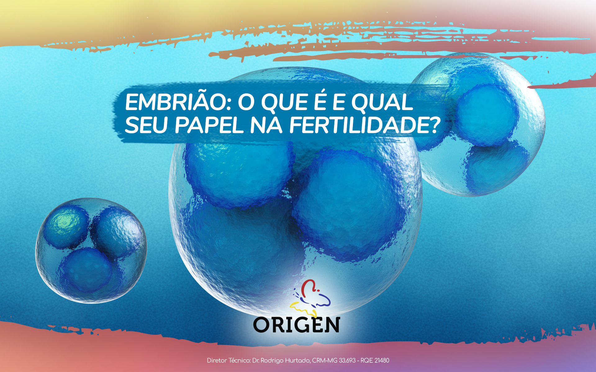 Embrião: o que é e qual seu papel na fertilidade?