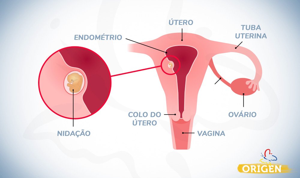 É nidação ou menstruação?