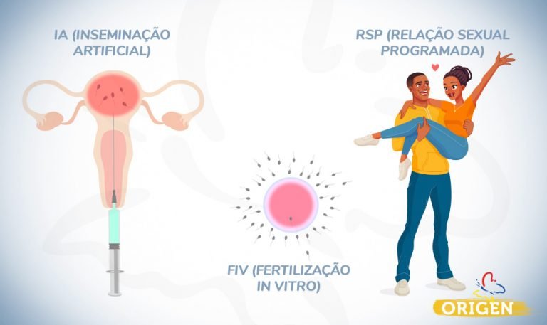 O Que São Técnicas De Reprodução Assistida Clínica Origen Fertilização In Vitro 