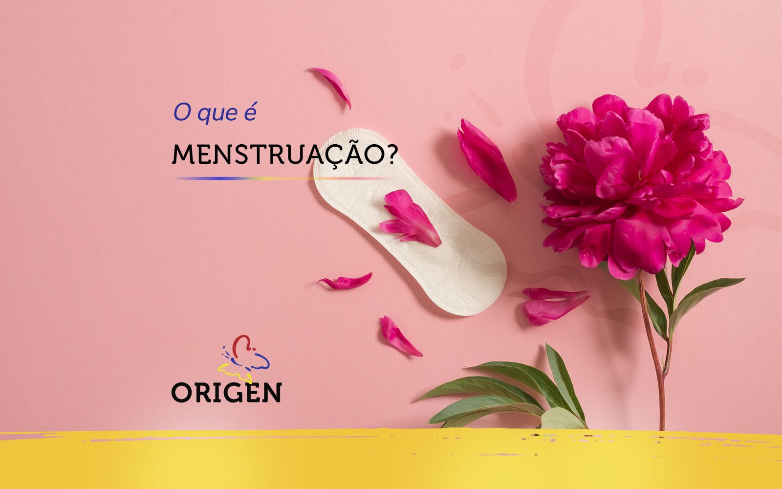 Menstruação: O que é?