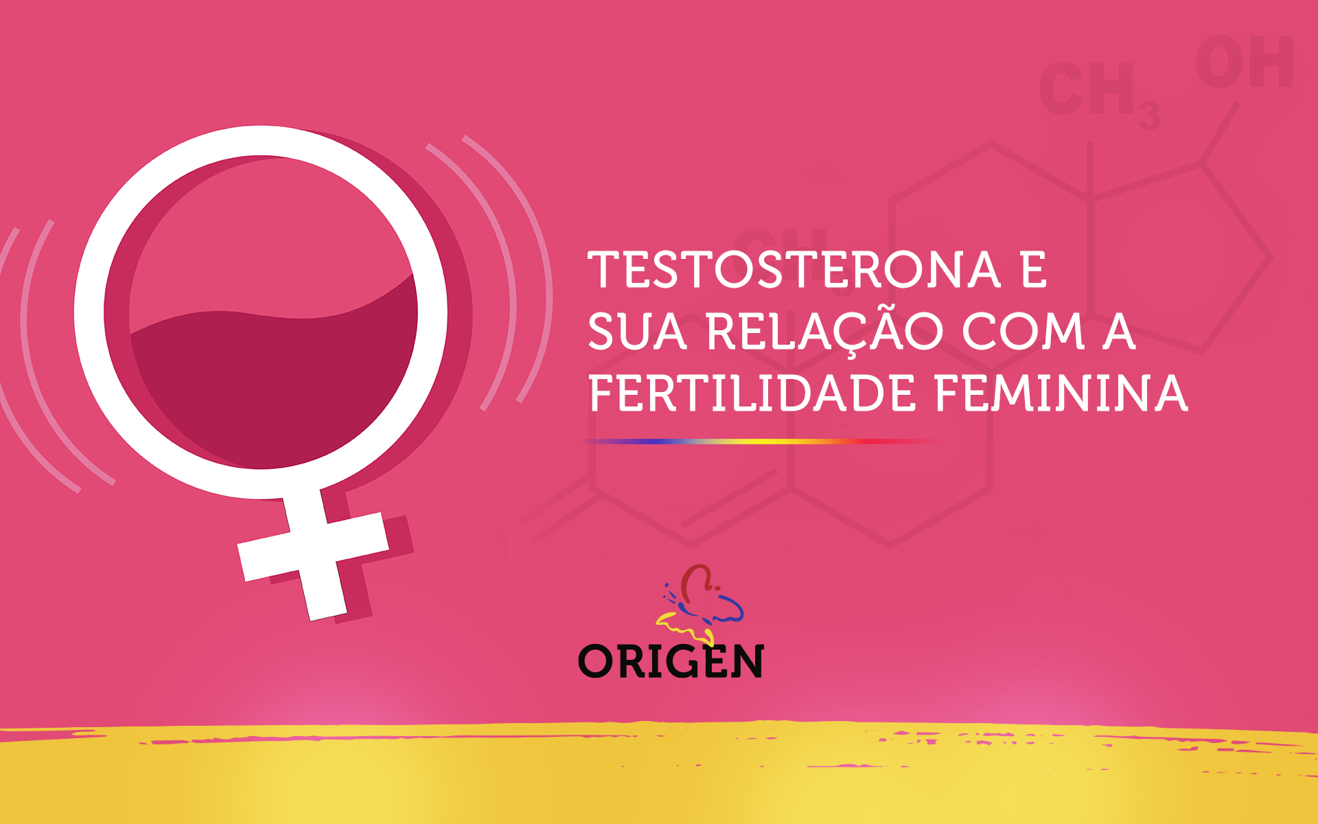Testosterona e sua relação com a fertilidade feminina
