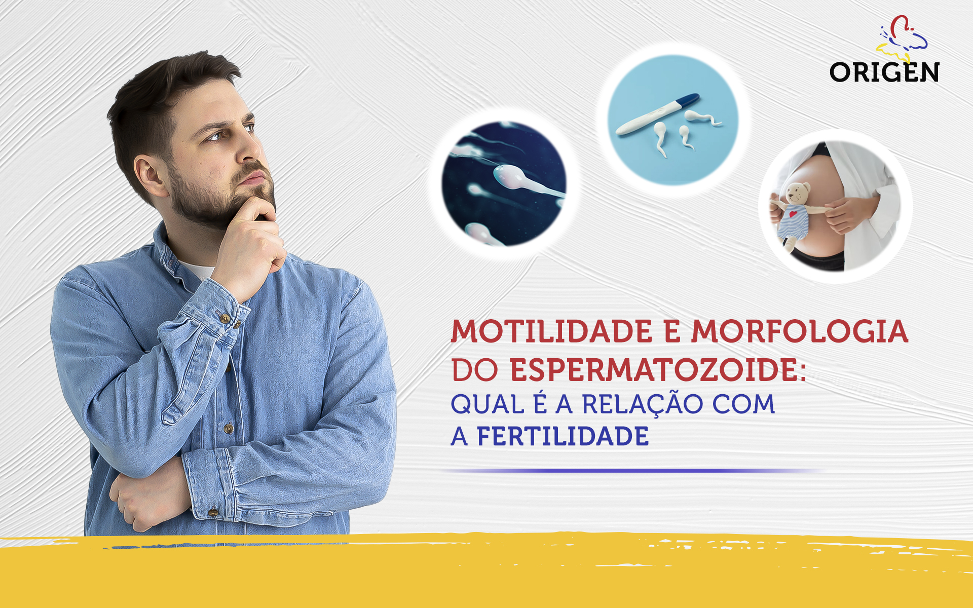 Motilidade e morfologia do espermatozoide: qual é a relação com a fertilidade masculina?