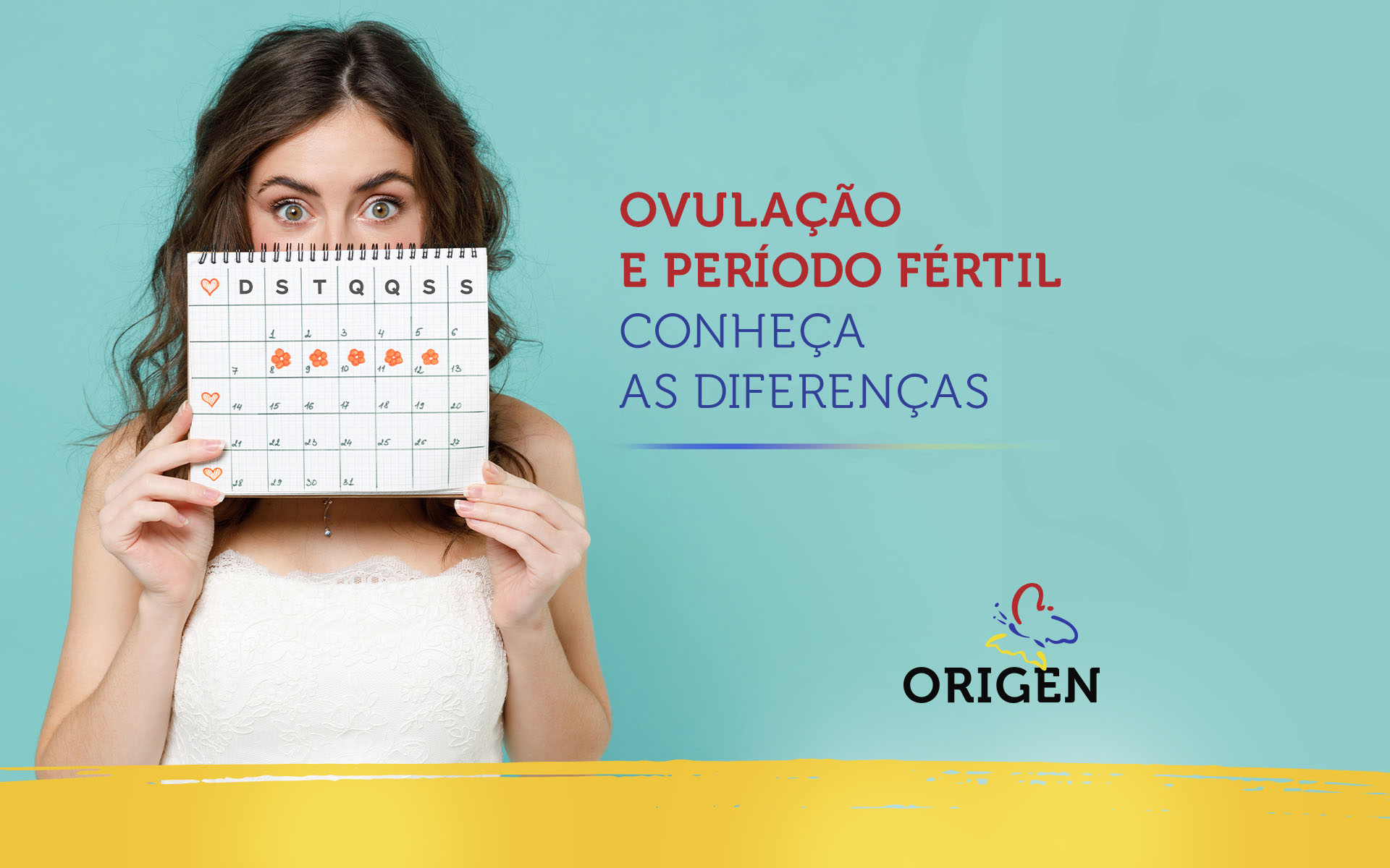 Ovulação e período fértil: conheça as diferenças